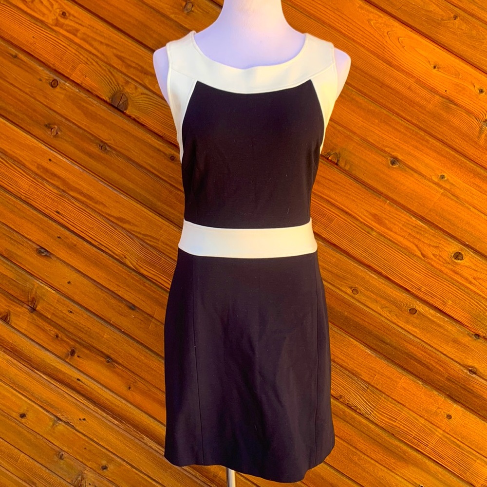 Milly of New York Colorblock Dress Navy Cream Size Large
